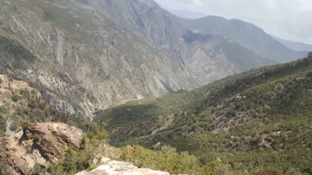 Mountain valley with terraced landscapes